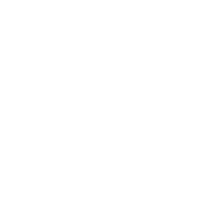 Management Systems (EMS)