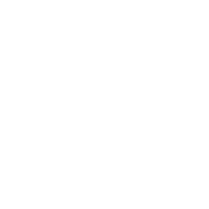 Ethical Principles and Compliance