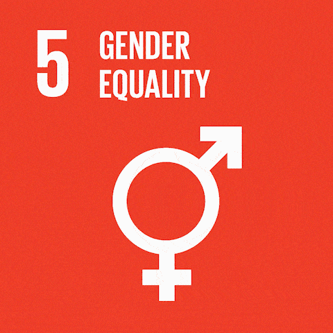 Toplumsal Cinsiyet Eşitliği